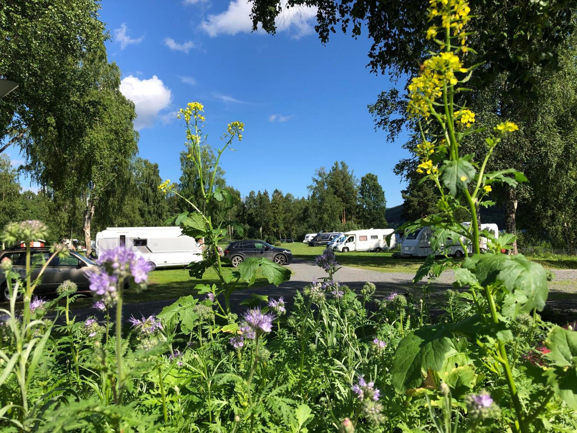 4 Persoons Stuga Hammarstrand Bagian luar foto
