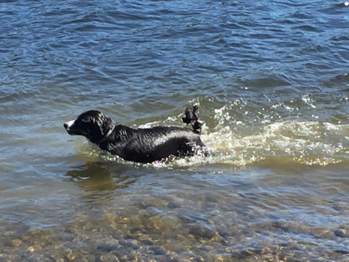 4 Persoons Stuga Hammarstrand Bagian luar foto